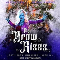 Enlarge image Cover: The Drow Rises - Tantor Audio