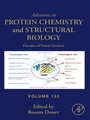 Cover: Disorders of Protein Synthesis - Academic Press