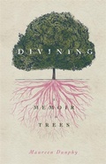 Cover: Divining, a Memoir in Trees - Wayne State University Press