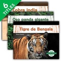 Cover: Animales Asiaticos (Asian Animals) (Set) - Abdo Kids Jumbo