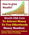 Cover: Wealth DNA Code Review - To Attract Money To You Effortlessly - Money Manifest - Lulu.com