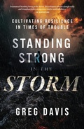 Cover: Standing Strong in the Storm - Arrows & Stones