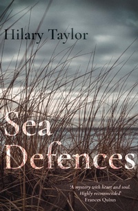 Enlarge image Cover: Sea Defences - Lightning Books