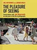 Cover: The Pleasure of Seeing - Damiani