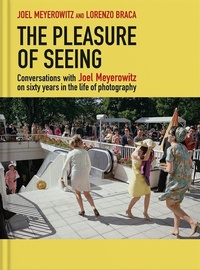 Enlarge image Cover: The Pleasure of Seeing - Damiani