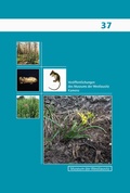 Cover: Ver&ouml;ffentlichungen des Museums der Westlausitz Kamenz - Museum d. Westlausitz Kamenz