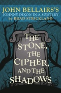 Cover: The Stone, the Cipher, and the Shadows - Open Road Media Teen & Tween