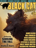 Cover: Black Cat Weekly #54 - Wildside Press