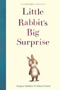 Cover: Little Rabbit's Big Surprise - Stripes Publishing