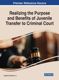Bild: Realizing the Purpose and Benefits of Juvenile Transfer to Criminal Court - Business Science Reference