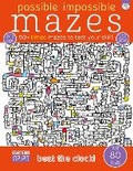 Cover: Possible Impossible Mazes - iSeek Ltd