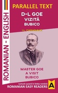 Cover: D-L Goe. VizitA. Bubico - Artemira Publishing