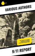 Cover: 9/11 Report - Sharp Ink