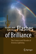 Cover: Flashes of Brilliance - Springer