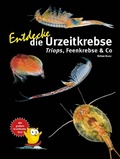 Cover: Entdecke die Urzeitkrebse - Natur und Tier