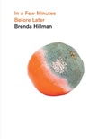Cover: In a Few Minutes Before Later - Wesleyan University Press