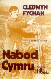Abbildung von: Nabod Cymru - Dwsin o deithiau cerdded - Y Lolfa