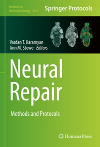 Abbildung von: Neural Repair - Humana