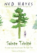 Cover: Sainte Trinit&eacute; - Ned Hayes