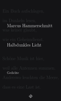 Enlarge image Cover: Halbdunkles Licht - Schiler & Mücke