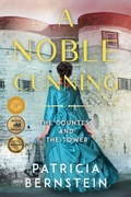 Cover: A Noble Cunning - History Through Fiction LLC