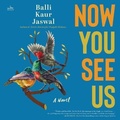 Cover: Now You See Us - HarperCollins