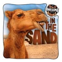 Enlarge image Cover: In the Sand - BookLife Publishing
