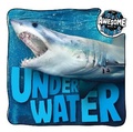 Cover: Under Water - BookLife Publishing