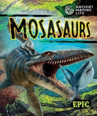 Enlarge image Cover: Mosasaurs - Bellwether Media