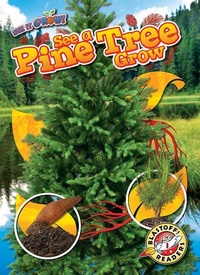 Enlarge image Cover: See a Pine Tree Grow - Blastoff! Readers