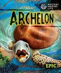 Cover: Archelon - Epic