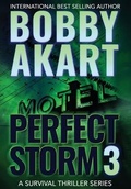 Cover: Perfect Storm 3 - IngramSpark