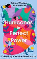 Cover: Hurricanes in Perfect Power - Vintage Digital