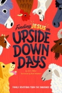 Enlarge image Cover: Finding Jesus on Upside Down Days - New Growth Press