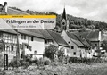 Cover: Fridingen an der Donau - Gmeiner-Verlag