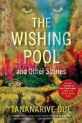 Cover: The Wishing Pool and Other Stories - Akashic Books, Ltd.