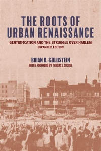 Enlarge image Cover: The Roots of Urban Renaissance - Princeton University Press