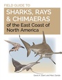 Bild: Field Guide to Sharks, Rays and Chimaeras of the East Coast of North America - Princeton University Press