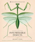 Cover: Innumerable Insects - Union Square & Co.