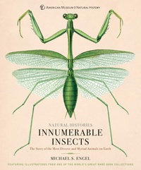 Enlarge image Cover: Innumerable Insects - Union Square & Co.