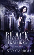 Cover: Black Feathers - Hanlon Creek Press
