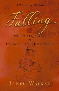 Enlarge image Cover: Falling - ebookpartnership.com