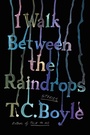 Cover: I Walk Between the Raindrops - Collins
