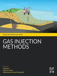 Abbildung von: Gas Injection Methods - Gulf Professional Publishing