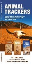 Cover: Animal Trackers - Waterford Press Ltd