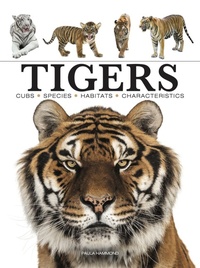 Enlarge image Cover: Tigers - Amber Books
