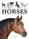 Cover: Horses - Amber Books