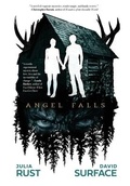 Cover: Angel Falls - Yap Books