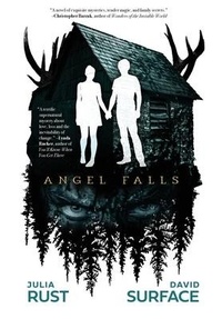Enlarge image Cover: Angel Falls - Yap Books