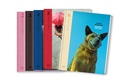 Cover: Berlin Stories Set - Hatje Cantz Verlag